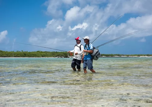 Astove Island - Flats Fishing