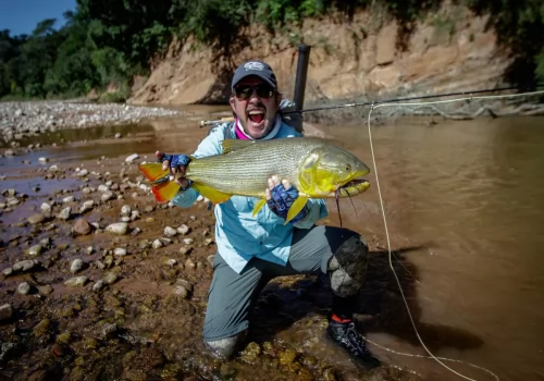 Rio Dorado | Golden Dorado in Argentina 