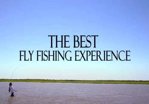 Unique Golden Dorado Fly Fishing in Argentina